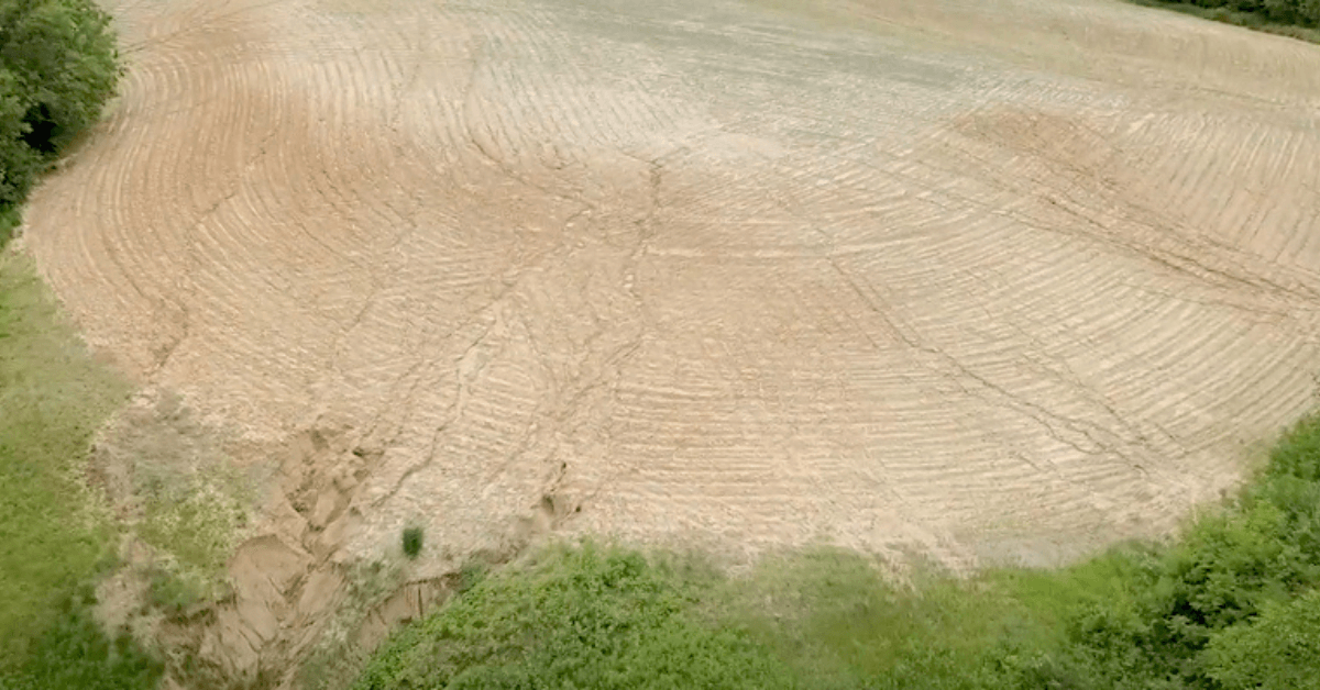 Enroll in CRP and Earn Income on Unproductive Farmland